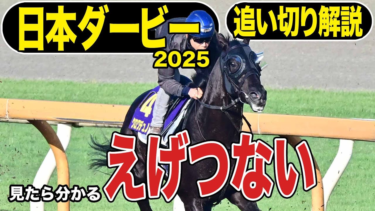 日本ダービー2025】各出走馬の追い切りを東西記者が徹底解説！ - YouTube