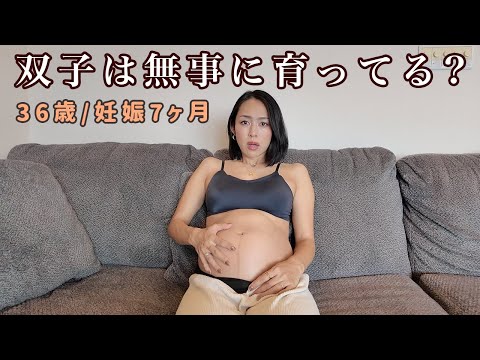 【双子妊娠7ヶ月】双子は無事に育ってる？24週でお腹が100cm超えました...。