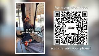 Rent Creative Block For An Entire Day For Only $250