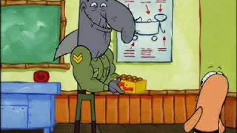 Spongebob Fails his Boating Test Again
