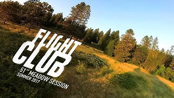 FPV Flying Wing - Slow and Low in the Meadow