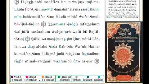 ختمة من مصحف التجويد باللغة الألمانية الصفحة رقم 335
