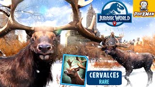 Jurassic world alive #27 เดือดจริง!! กวางยักษ์ยืนหยัดสู้ไดโนเสาร์ CERVALCES [เกมมือถือ]