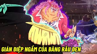 Thành Viên Vô Danh Thứ 10 – Gián Điệp Ngầm Của Băng Hải Tặc Râu Đen Ở Wano!