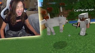 I killed Pokimane's dogs in Minecraft...