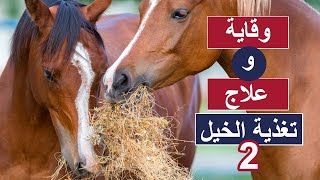 تعلم أكثر عن تغذية الخيل ( وقاية وعلاج ) الجزء2 -علاج الخيل الهزيلة