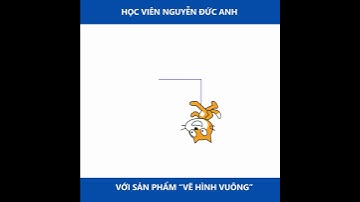 Sản phẩm lập trình Scratch "Vẽ hình vuông"