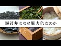 海苔弁31 15秒CM