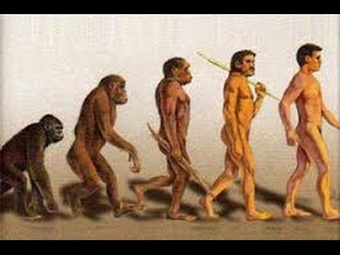 История возникновения человека. Документальный фильм. История возникновения человека. Документальный фильм.