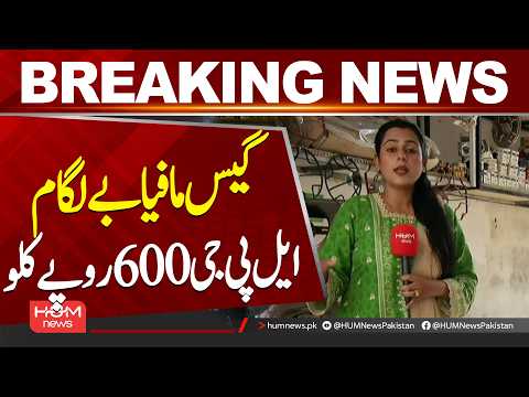 LPG Official Price Rs. 279, Market Price Soars to Rs. 600 per Kg | Hum News | Pakistan