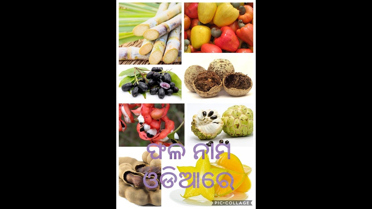 Fruit Name (odia) YouTube