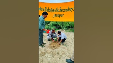 #shorts. ..#tree plantation