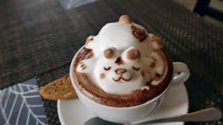 INCREDIBLE 3D COFFEE ART   CUTEST COFFEE YOU'LL EV 2