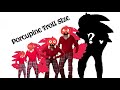 Porcupine Troll Size