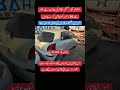 CUSTOM AUCTION VEHICLES 🚗