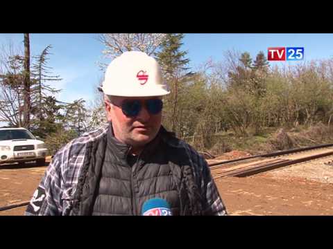 ხეების გადატანის გამო ბუკნარში განათების ბოძები ამოიღეს