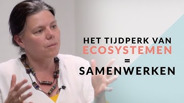 Ecosysteemdenken, menselijk ondernemen en prioriteiten stellen met Ingrid Willems van DataScouts