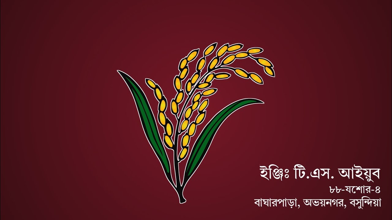 Joy dhanar Shees ar joy - YouTube