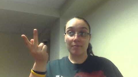 ASL Level 1 Final Assignment