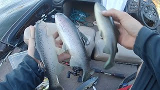 SwimBait Underground- Black Market Purchase