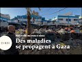 Gale, maladies gastro-intestinales ou du système respiratoire... A Gaza, les maladies se développent