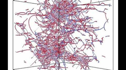 Dislocation Patterns During Cyclic Loading in Ni Free Standing Microcrystals