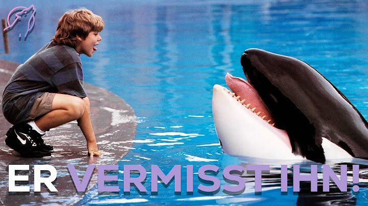 Der Orca der an Freiheit starb!
