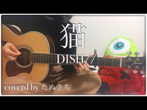 #ギター初心者 #猫 #DISH #あいみょん【ギター女子】『猫/DISH//』弾き語りcover