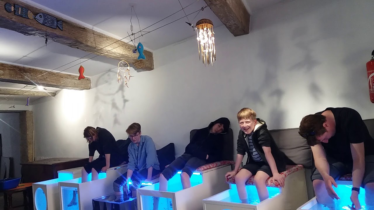 Quand Faut-il aller aux champignons ?