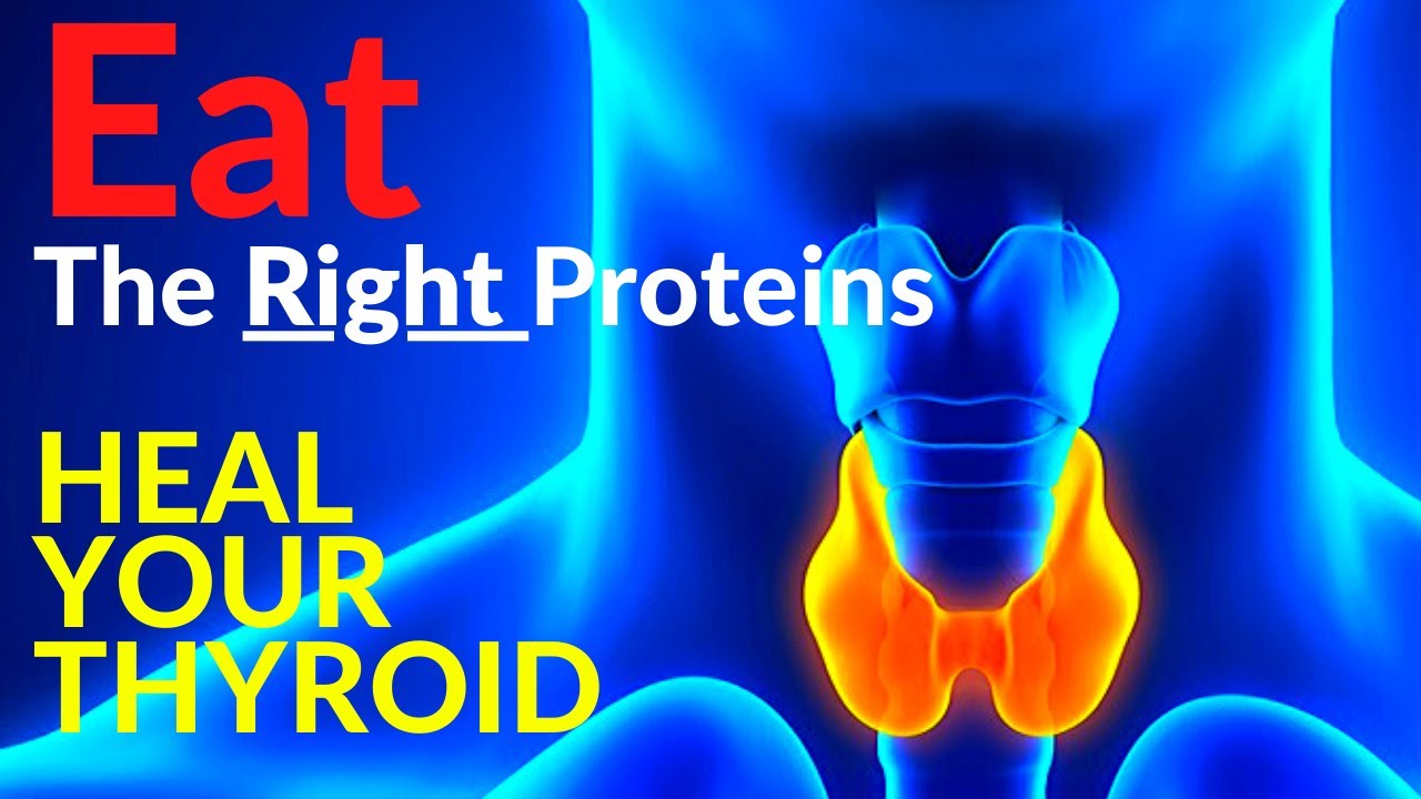Eat The Right Proteins To Heal Your Thyroid Naturally Hypothyroidism