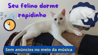 A música que faz gato dormir | música para gato dormir #medo #fogos