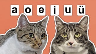 Chinese Pronunciation Essentials - Learn the 6 Simple Finals Profile