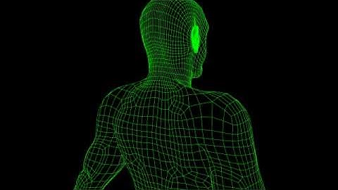 Final Year model - Wireframe 1