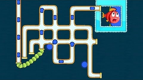 Save The Fish @fishrescue821