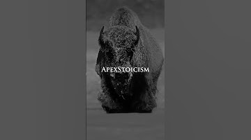 Have no fear, and take on your challenges. #apexstoicism