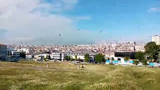 Rüzgar Emin Çetinkaya ve Omer Asaf Yildiz ebubekir çimende kuşlarla 2020 Haziran 03