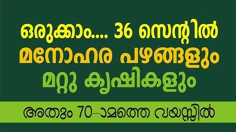 36 സെൻ്റ് മതി ഇത്രയും പഴങ്ങൾ കൃഷി ചെയ്യാൻ 70 years oldman farming differently