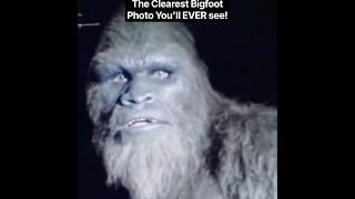 Is this the Clearest Bigfoot Photo of All Time!? #shorts #bigfoot