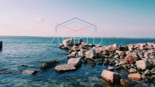 Saint Mesa - Jungle (Shallou Remix)