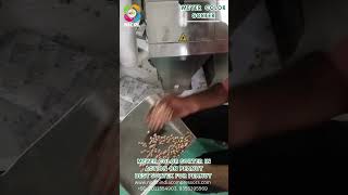 Best Color Sorter for Peanut | Peanut Sortex Machine | MEYER with NICPL #BestColorSorterForPeanut