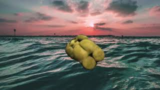 Verne goes swimming