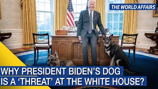 The World Affairs | Why president Biden’s dog is a ‘threat’ at the White House? | FBNC