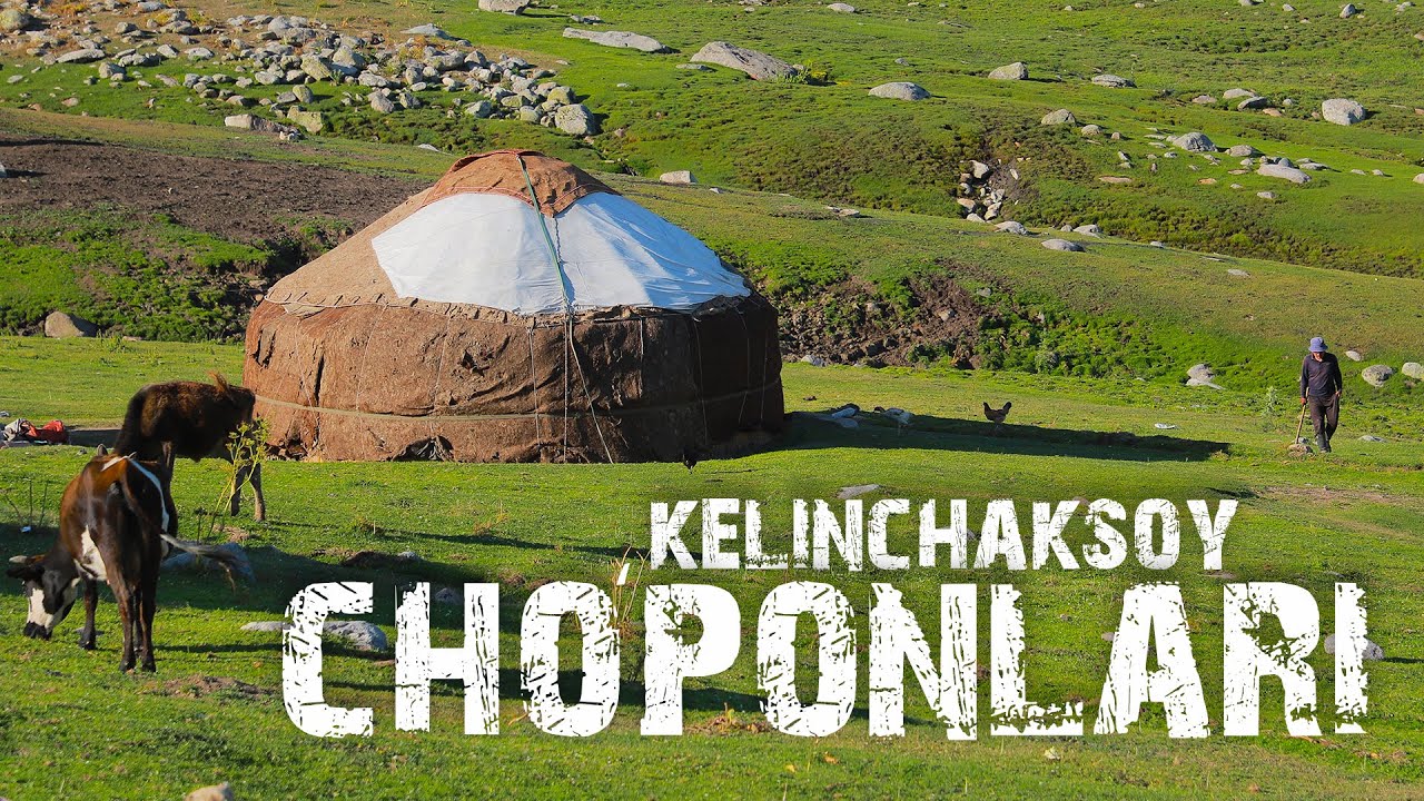 Bo‘ri, ayiq, kiyiklar va tog‘ qori orasidagi hayot — Kelinchaksoy cho‘ponlari | Manzil