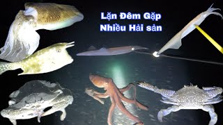 8 Giờ Lặn Biển Bắt Hải Sản Đêm - Phát Hiện Ổ Ghẹ, Nhiều Loại Hải Sản Giá Trị Cao