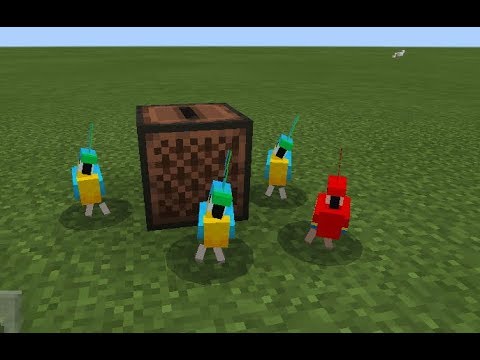 How To Make A Parrot Dance In Minecraft Minecraftfanclub Net How To Make A Parrot Dance In Minecraft Minecraftfanclub Net