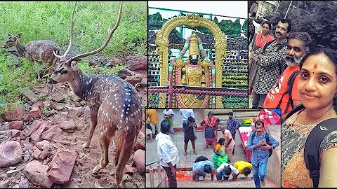 1200  Thirumala Alipiri Mettu Footpath 2022 Tirupa...