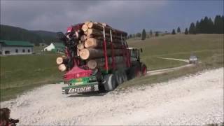 Rimorchio forestale  - Zaccaria forestry trailer