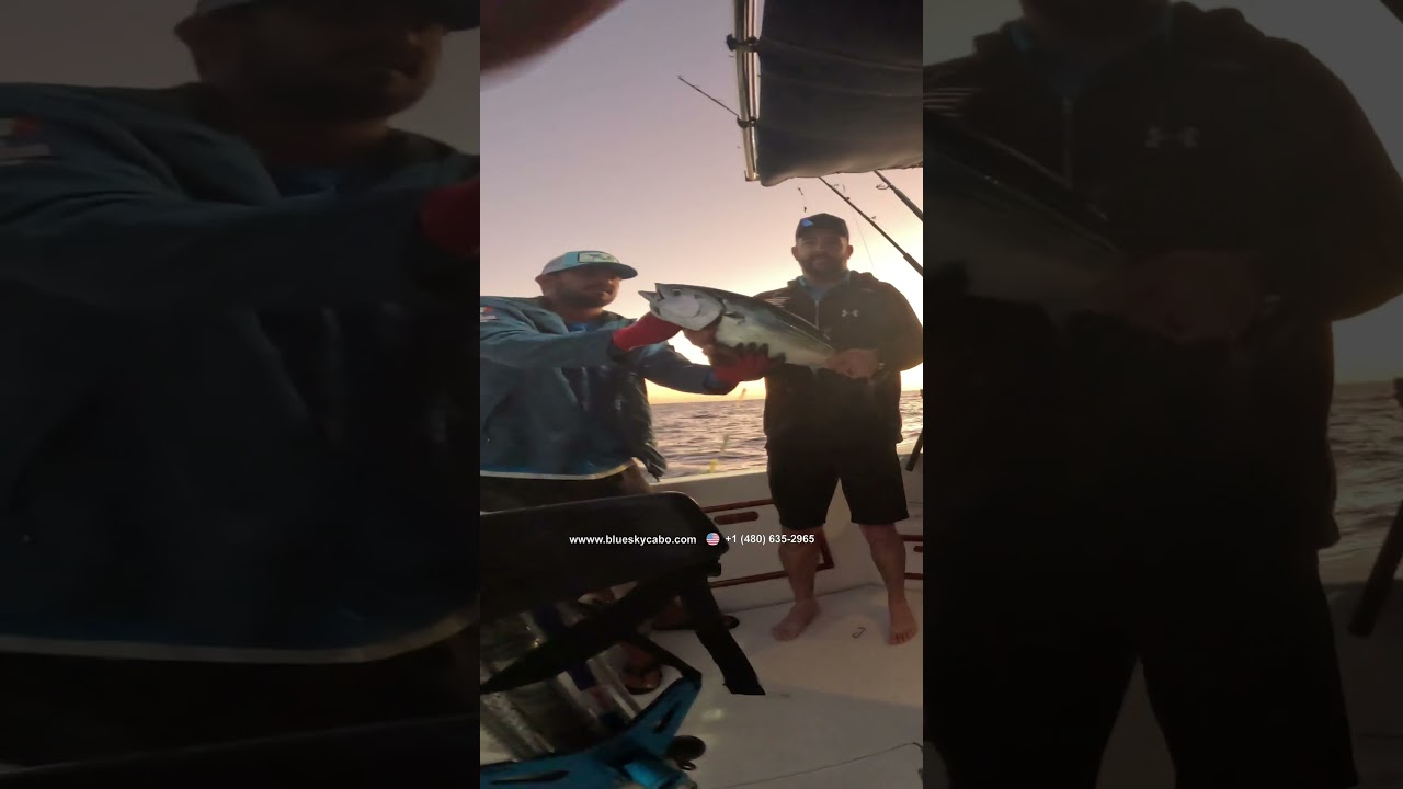 Fishing Skipjack February 2026