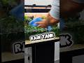 Rainbox Aquarium #shorts
