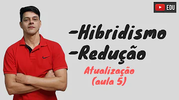 O que define o hibridismo?